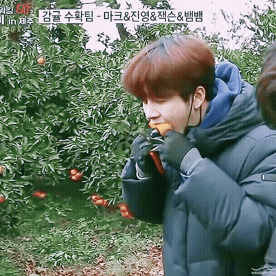 Young Man Eating Orange In Front Of Tree With Chinese Writing GIF