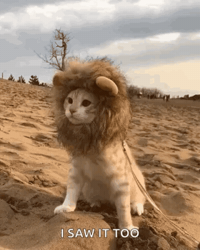 Young Man He Tryna Ignore It GIF