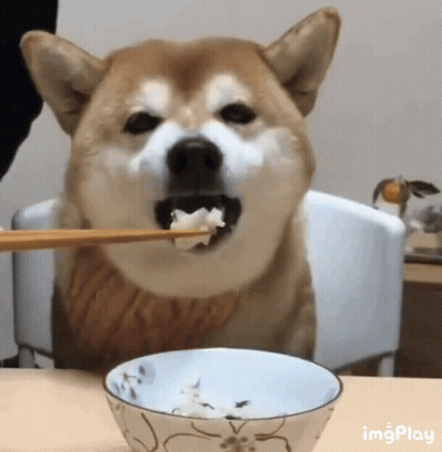Young Man In Black Hat Eating On Blue Couch GIF