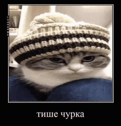 Young Man In White Hoodie At Window GIF