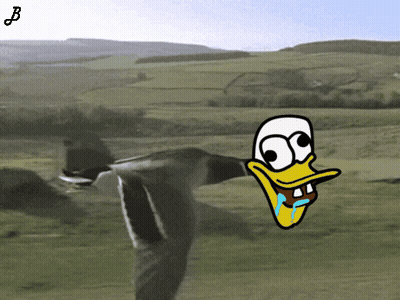 Young Man In White Shirt Looking Up GIF