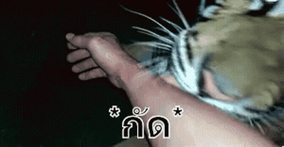 Young Man Sitting At Table With Hand On Face GIF