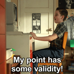Young Sheldon My Point Is Valid GIF