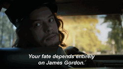 Your Fate Depends Entirely On James Gordon  GIF