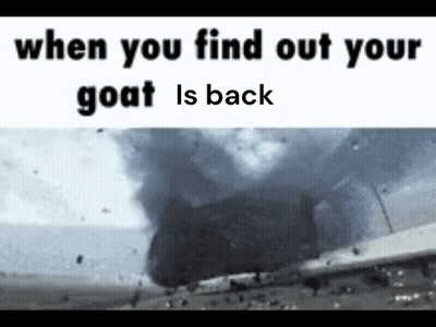 Your Goat Is Back Tornado Meme GIF