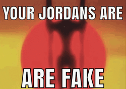 Your Jordan Are Fake GIF