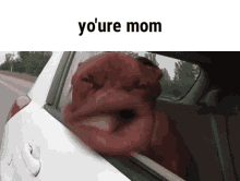 Your Mom Funny Dog Car Window Meme GIF