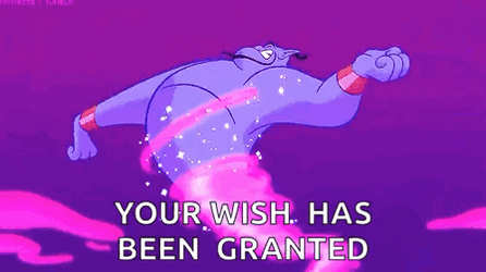 Your Wish Is My Command Aladdin GIF