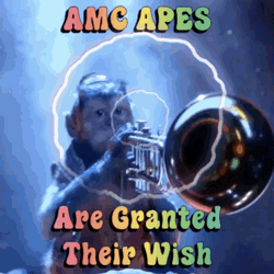 Your Wish Is My Command Amc Aped GIF