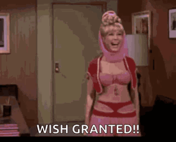 Your Wish Is My Command Barbara Eden GIF