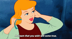 Your Wish Is My Command Cinderella GIF