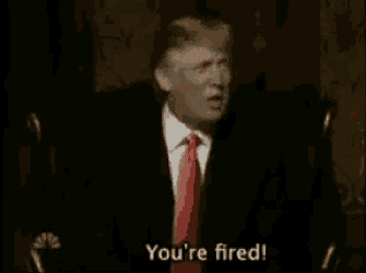 Youre Fried Donald Trump GIF