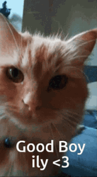 Youre My Boy Blue I Love You GIF