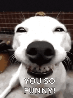 Yousofunny Youresofunny GIF