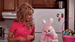 Youtuber Amy Lynns Kitchen With Easter Bunny Toy