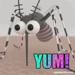 Yum Mosquito  GIF