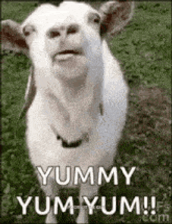 Yum Yummy GIF