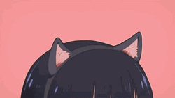 Yumeko Jabami Neko Cat GIF