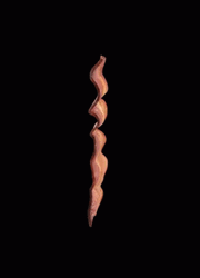 Yummy Bacon Rolling GIF