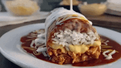 Yummy Cheesy Burrito Plate GIF