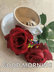 Yummy Hot Coffee Good Morning Rose GIF