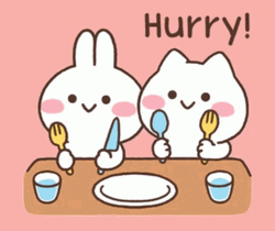 Yummy Lunch Cute Molang Rabbits GIF