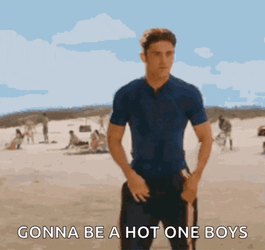 Zac Efron Flag GIF