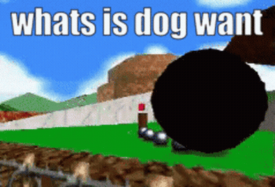 Zach Browsing 4Chan Be Like GIF