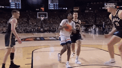 Zach Edey Incredible Straight Up Block GIF