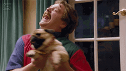 Zach Galifianakis Happy Pug Dance GIF