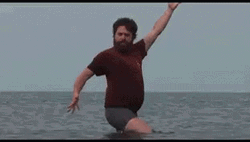 Zach Galifianakis Hilarious Beach Pose GIF