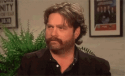 Zach Galifianakis Intense Stare GIF