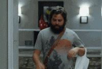 Zach Galifianakis Looking For Mr Chow GIF