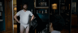 Zach Galifianakis Wearing Brief Looking For Mr Chow GIF