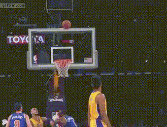Zaunvi Caitvitwt GIF