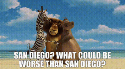 Zebra Hippo Giraffe On Beach Saying San Diego What Could Be Worse GIF
