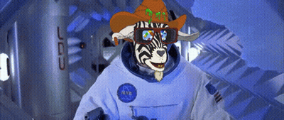 Zebra In Cowboy Hat And Sunglasses GIF