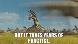 Zebra In The Jungle Practice Running GIF