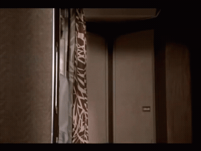 Zebra Print Shower Curtain On Shower Head GIF