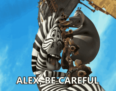 Zebra With Alex Be Careful GIF