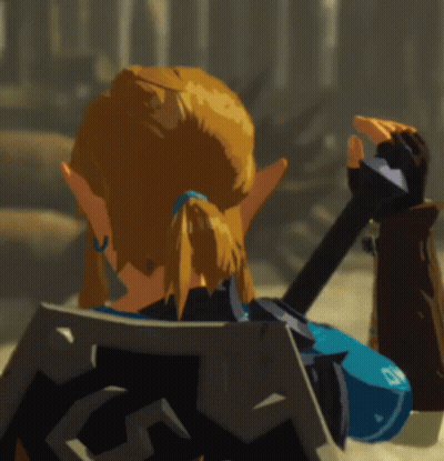 Zelda Bot W Link Embarrassed Hyrule Warriors Age Of Calamity GIF