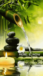 Zen Bamboo Water Relaxing Meditation GIF