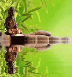 Zen Lord Buddha And Nature 3D GIF