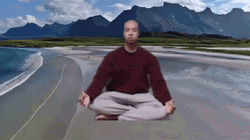 Zen Mind Dodging Meme GIF