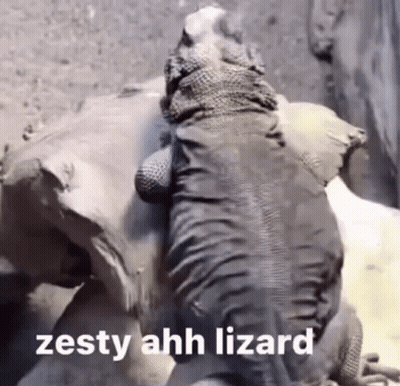 Zesty Ahh Lizard GIF