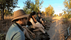 Zimbabwe Africa Safari GIF