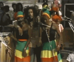 Zimbabwe Bob Marley GIF
