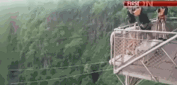 Zimbabwe Bungee Jump GIF