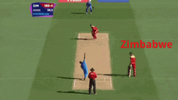 Zimbabwe Cricket Swing Bat GIF