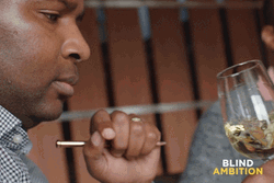 Zimbabwe Wine Tasting Blind Ambition GIF